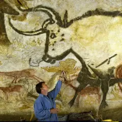 Człowiek bada prehistoryczne malowidła z Lascaux, dotykając pędzlem skalnej ściany z wizerunkami zwierząt.