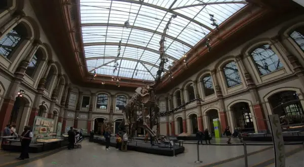Muzeum sztuki naturalnej Berlin - Fascynujące zbiory i wystawy